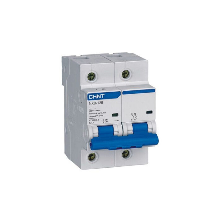 NXB-125 C100 2P – MCB đóng cắt 100A 10KA 240/415V 2 pha Chint