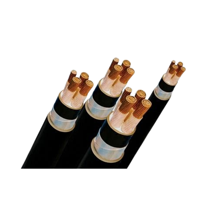 DÂY CÁP ĐIỆN LỰC HẠ THẾ 02 